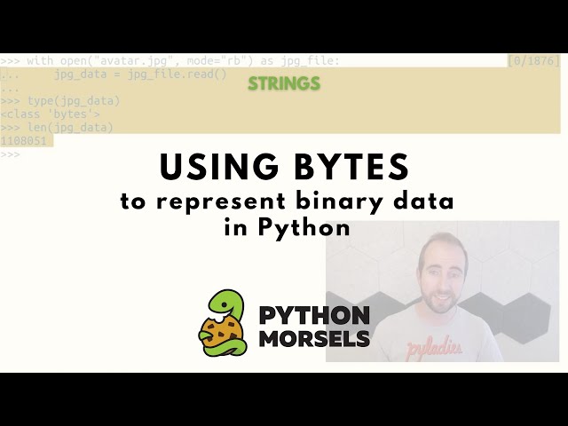 Representing binary data with bytes in Python