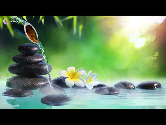 Relaxing Piano Music with Water Sounds • Calm the Mind • Sleep Music