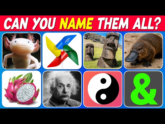 General Knowledge Picture Quiz | 101 Questions