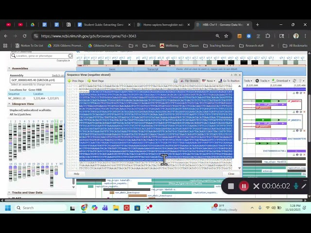 NCBI Gene Function, Location, and Sequence Information (2025)