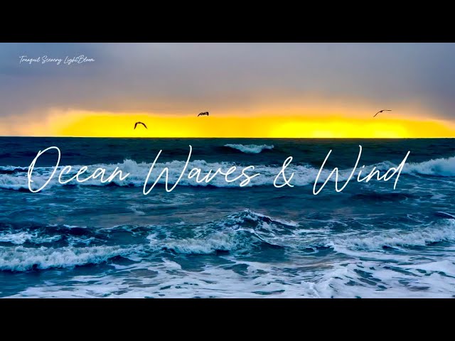 4K Windy Crashing Waves 2.5 Hrs Ocean Sunset Ambience, HDTV Screensaver for Relaxation Concentration