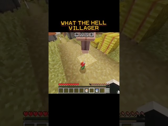 WTH VILLAGER....!