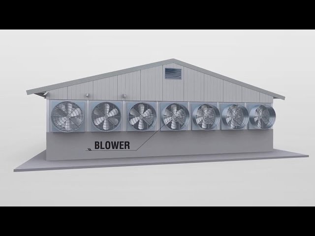3D Animated Explainer Video for I-COOP, Eco Poultry-House