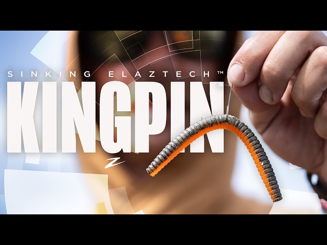 The Kingpin: Elevating The Stickworm With Sinking ElaZtech