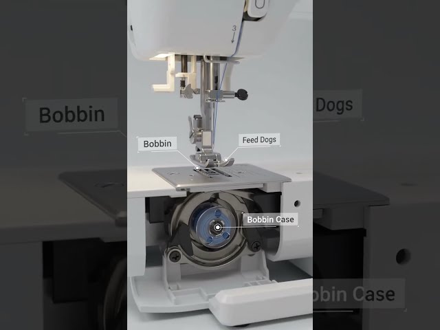 Sewing Machine Explained in 3D Animation