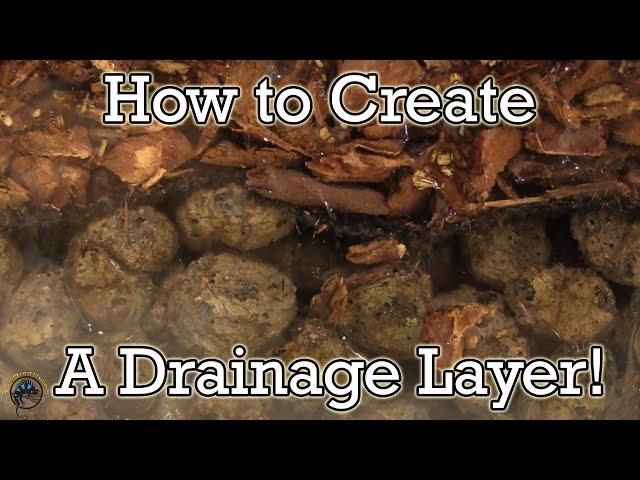 How to Make a Drainage Layer for your Bioactive Tropical Tank! 💧