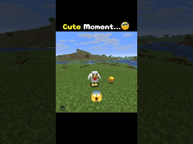New Minecraft Baby Chicken Is So Cute😍 #minecraft #shorts