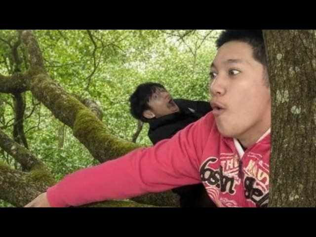 Dangerous Tree Webbing | JSQL