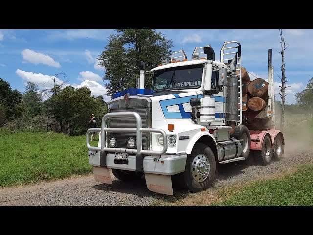 Logging Trucks ripping off our public native forests - Stand Up For Cherry Tree Forest