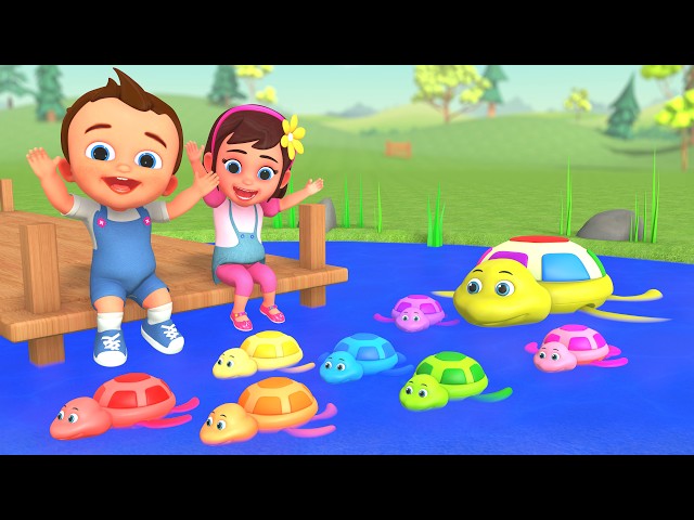 Learn Colors with Baby Turtles Toy Set 🐢 | Outdoor Learning Fun | Preschool Educational Video
