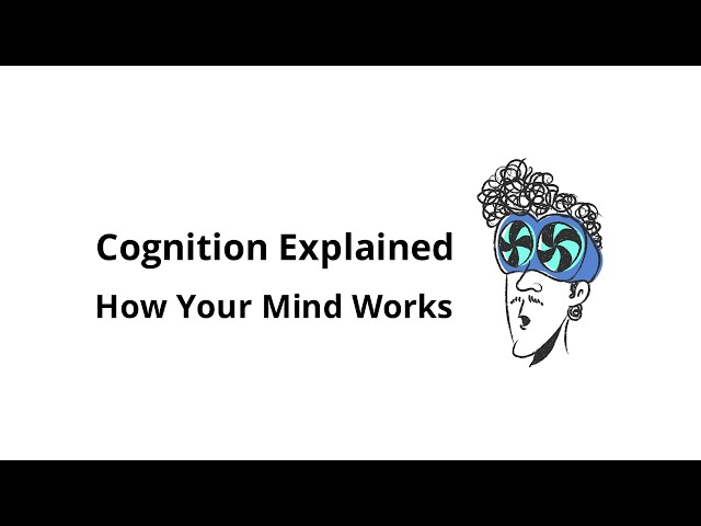 What Is Cognition? A Complete Beginner-Friendly Explanation