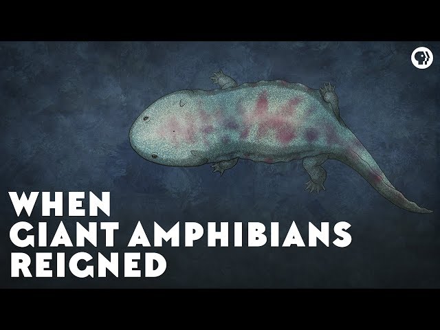 When Giant Amphibians Reigned