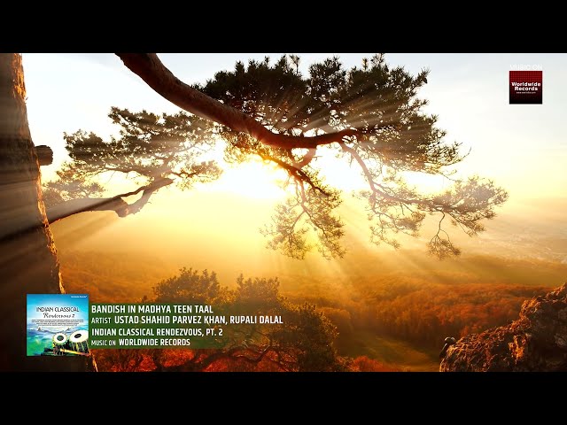 Bandish in Madhya Teen Taal | Ustad Shahid Parvez Khan | Rupali Dalal  | #World Music #relaxation