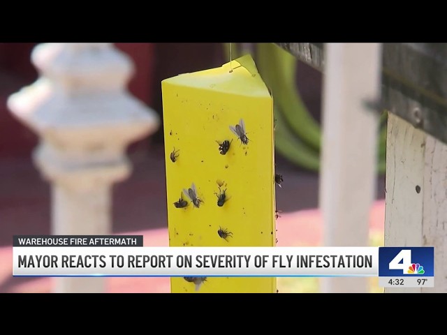 Mayor Bass reacts to NBCLA's report about fly infestation in Boyle Heights