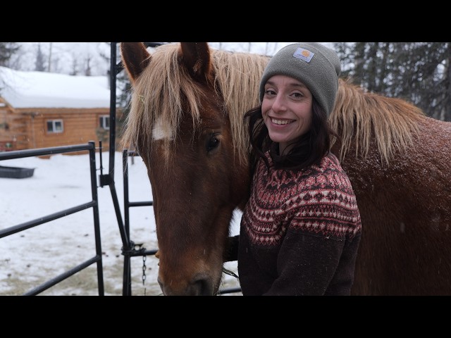 Completing Our Alaska Pack String for the Backcountry | Remote Alaska