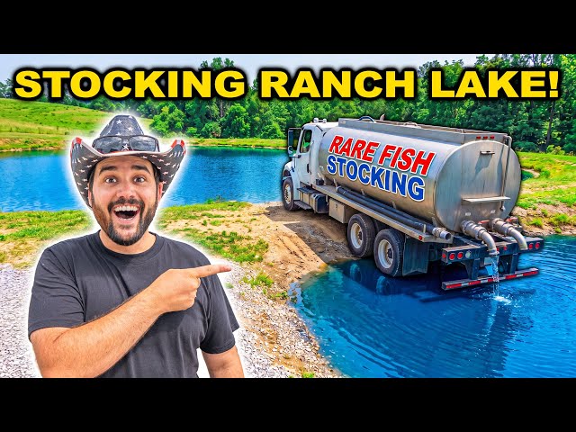 Stocking ABANDONED RANCH LAKE with EXOTIC FISH!!! 