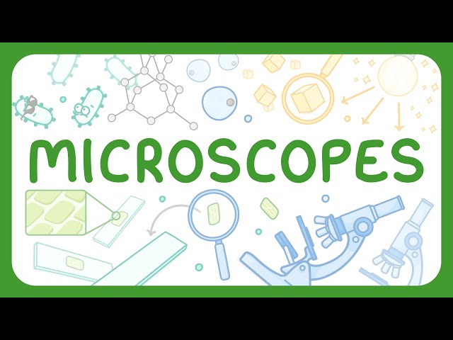 Parts of a Microscope & How to Use a Microscope