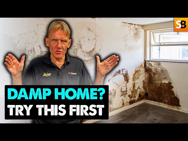 This Simple Test Saves Thousands on Damp