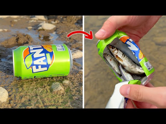 A Collection of the Best Lifehacks for Surviving in the Forest