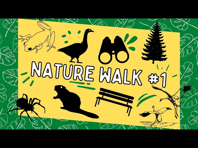 Nature Walk #1 - State Park