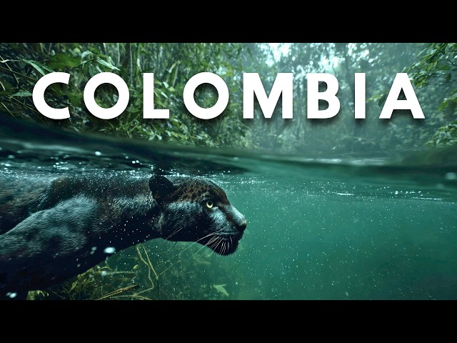 COLOMBIA: Corazón Salvaje de América [Documental Completo]