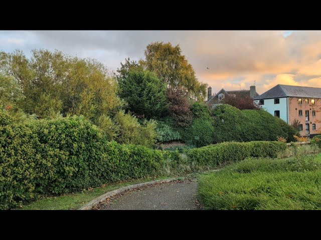 Vlogtober with Mrs D - I am back 🤣 some of the books I have read