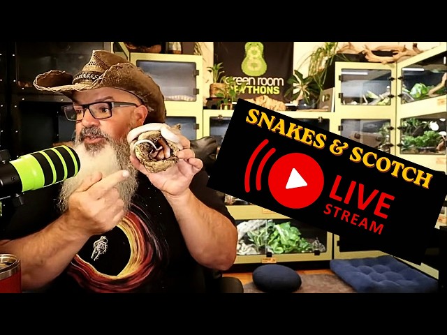 Snakes & Scotch Livestream