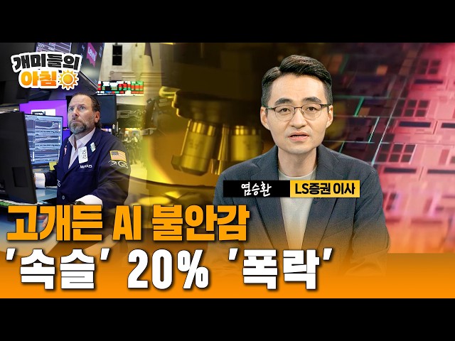 고개든 AI 불안감…나스닥 2.6% 급락｜반도체주 레버리지 '속슬' 20% '폭락'…뉴욕증시 전문가분석(염승환 LS증권 이사)/ 연합뉴스TV(YonhapnewsTV)