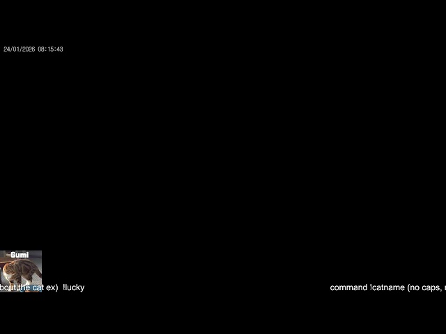 Cat Live Stream - Hungry Cat Station