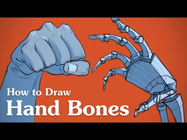 How to Draw Hand Bones - Drawing Anatomy for Artists