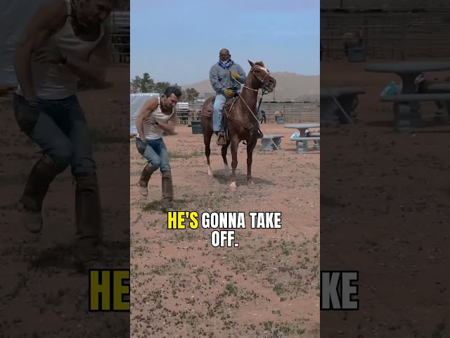 Agents pulled by horse during arrest