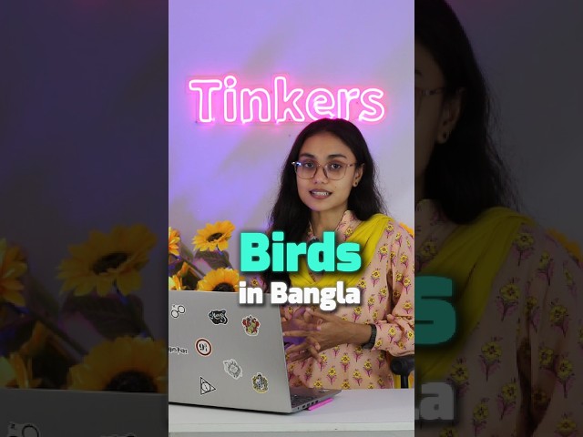 10 Birds Name in Bengali 🐦 | Bangla for Kids & NRB Families 🌍 Learn Bangla with Tinkers 🌎
