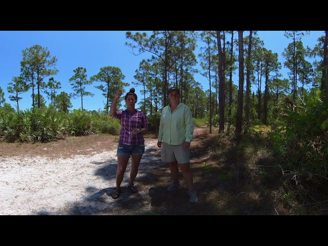 St. Lucie County Lower Elementary Watersheds and Wildlife Virtual Field Trip (Desktop) Part 1