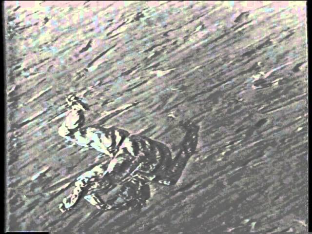 2nd Take - 2nd Flights