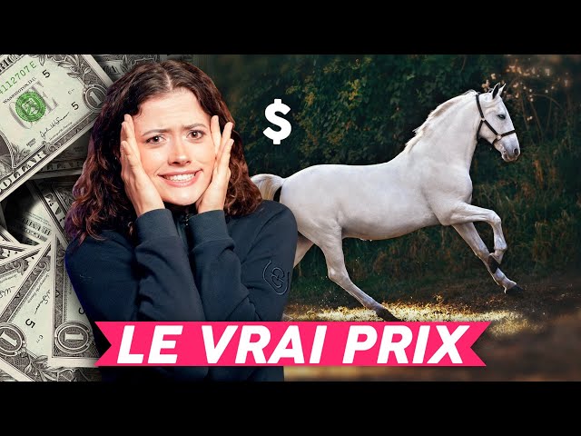 ¿CUÁNTO CUESTA REALMENTE TENER UN CABALLO? 💰