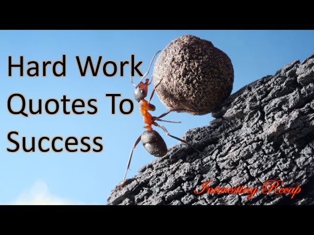 Hard Work  Quotes To Success