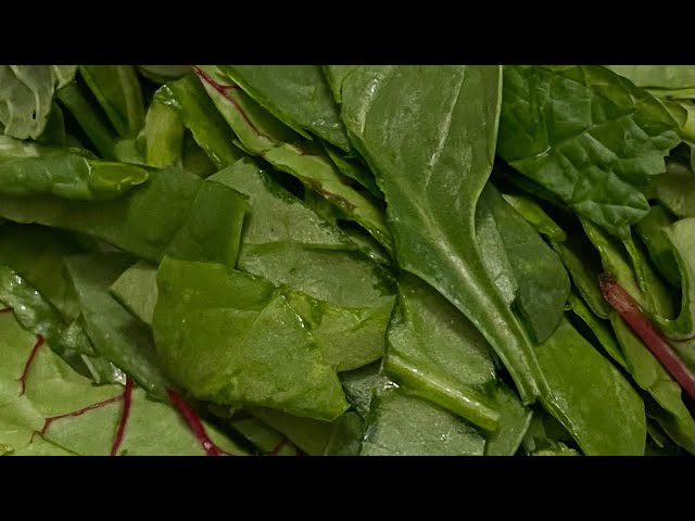 Practical Plant-based Meal Prep