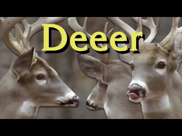 {YTP} ~ Deeer