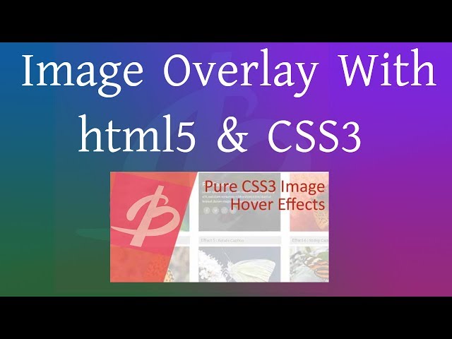 Image Overlay, Positoning, before, after, Hover Effects With CSS3 || Bright Coder