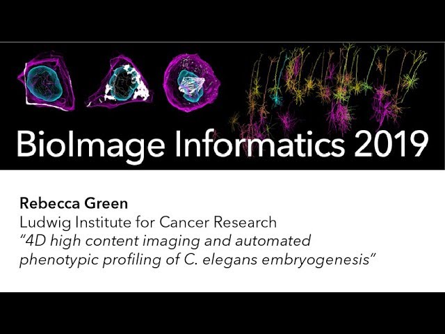 Rebecca Green | 2019 BioImage Informatics