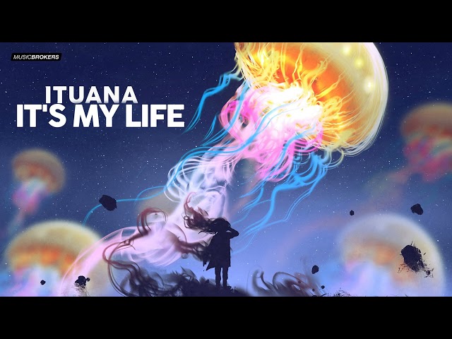 Ituana - It's My Life (Bossa Nova Lounge)