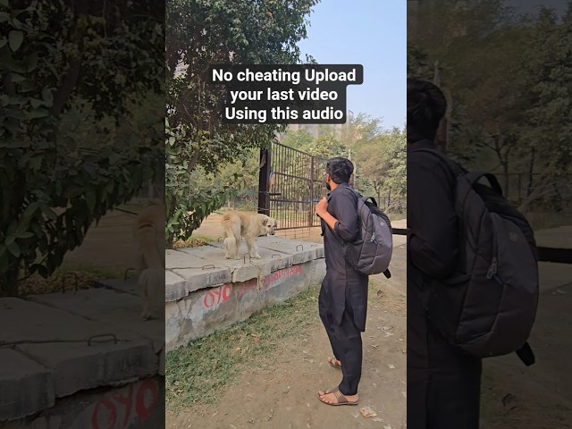 Grateful for the times that turn into memories 💅👻#trending #memories #viral#achilldayinmylife#shorts