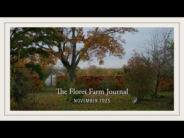 The Floret Farm Journal: November 2025