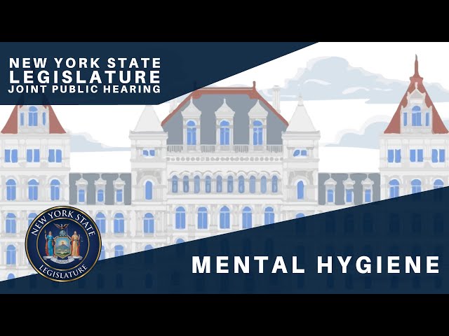 Joint Legislative Hearing on 2026 Exec. Budget Proposal: Mental Hygiene - 02/04/2026