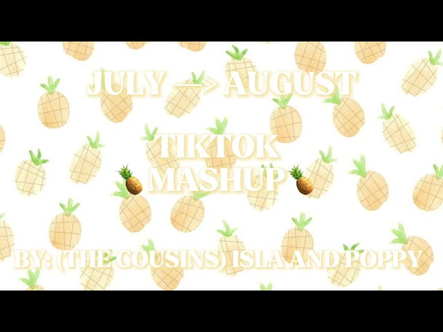 🍍2025 / July to August TikTok mashup (clean)🍍 /creds to song owners/