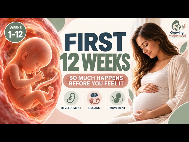 Your Baby’s First 12 Weeks: The Incredible Changes Happening Before You Can Feel Them