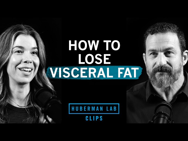 How You Gain Visceral Fat & How to Lose it | Dr. Rhonda Patrick & Dr. Andrew Huberman