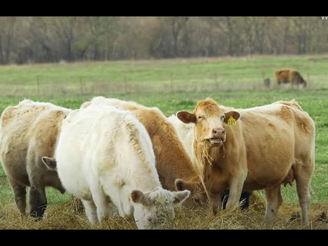 Top 10 Implements for a Livestock Operation | John Deere Tips Notebook