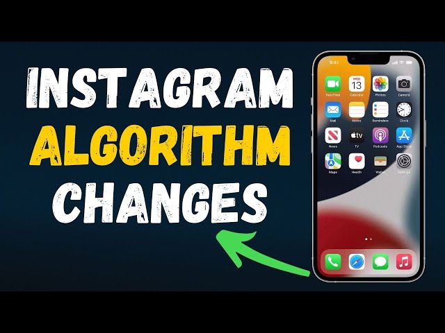 Instagram algorithm changes in 2024 (FULL GUIDE)