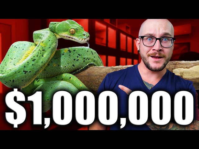 1 MILLION Dollar Reptile Room Tour!